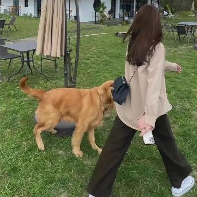 最后的德鲁伊:加尔姆战争